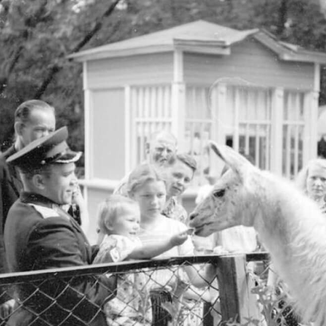 Посетители зоопарка