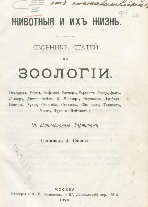 Животные и их жизнь