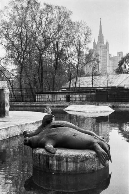 Высотное здание на площади Восстания