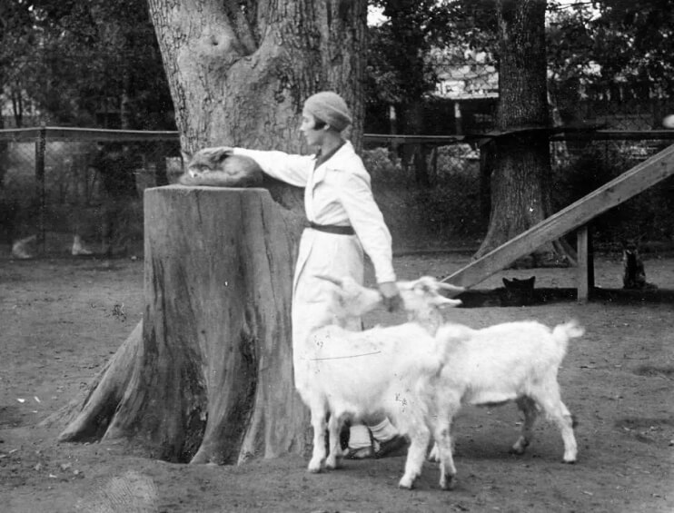 Вера Чаплина на площадке молодняка. 1933-1935