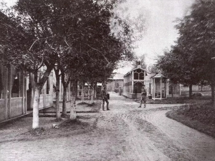 Отделы птицеводства и пчеловодства. Третья Акклиматизационная выставка в зоологическом саду. 1878