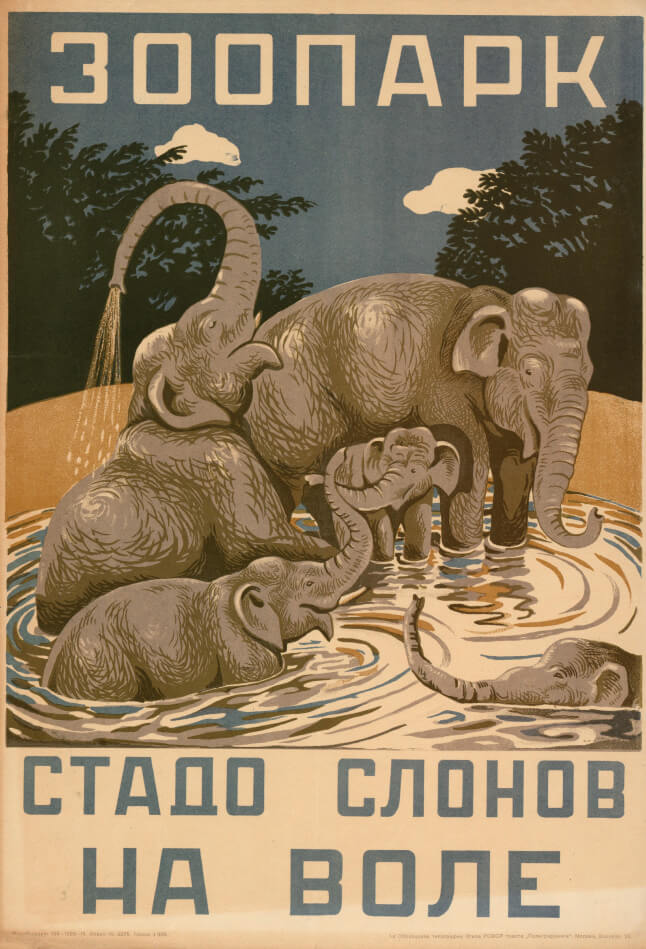 Стадо слонов на воле. Москва. 1937