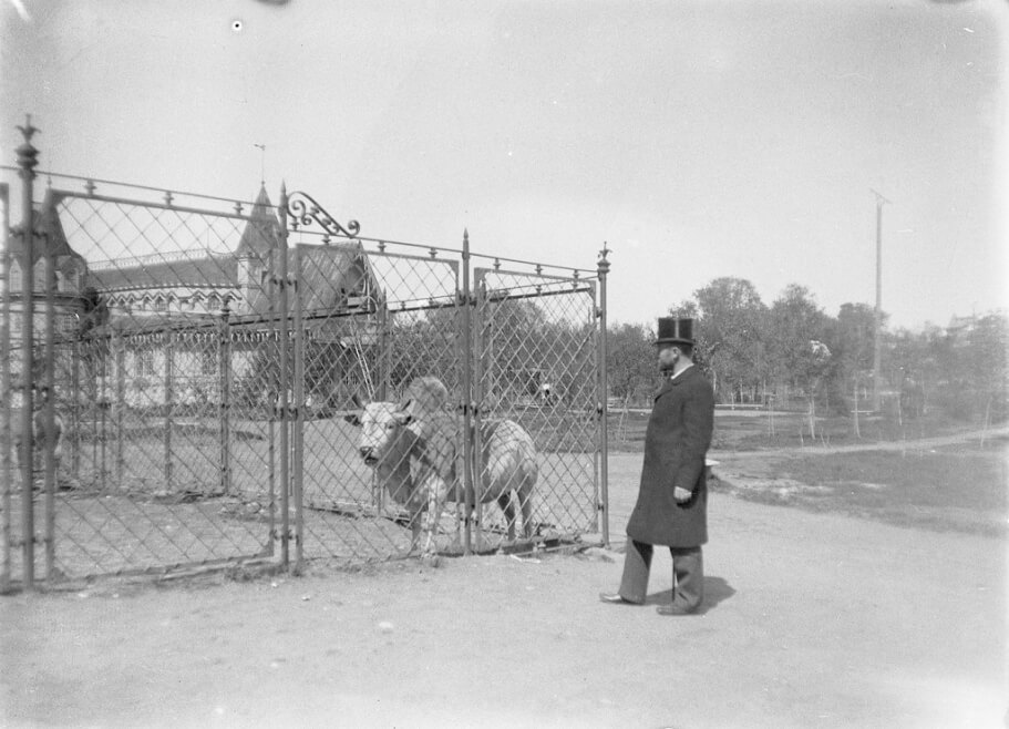 Московский зоологический сад. 1898
