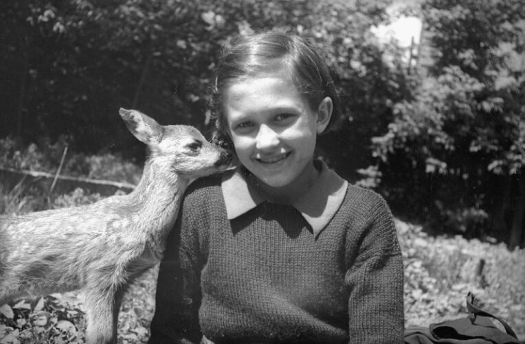 В Московском зоопарке. Девочка с олененком. 1943