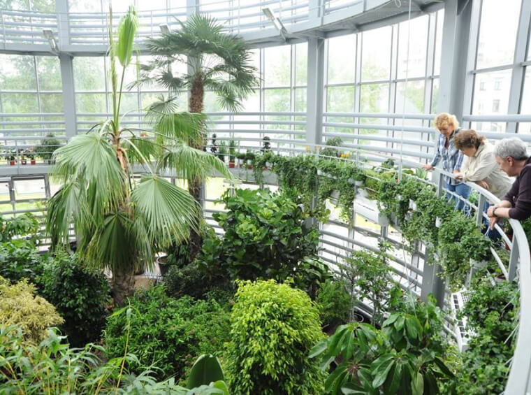 Экспозиция «Тайны тропического леса»